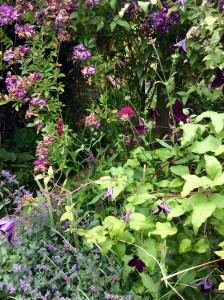 Mixed borders can give year round interest