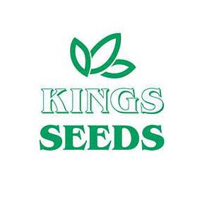 Kings seeds logo