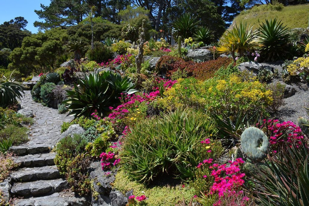 Botanical garden in New Zealand full of bright colourful blooms.