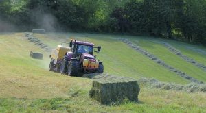Tractor working in a field baling hay.
