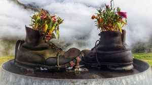 Recycled old boots as flower pots.