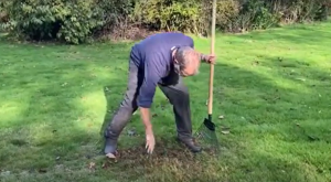 Ken Crowther with a rake preparing the ground for grass seed.