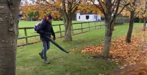 Ken using a leaf blower to move a large quantity of autumn leaves