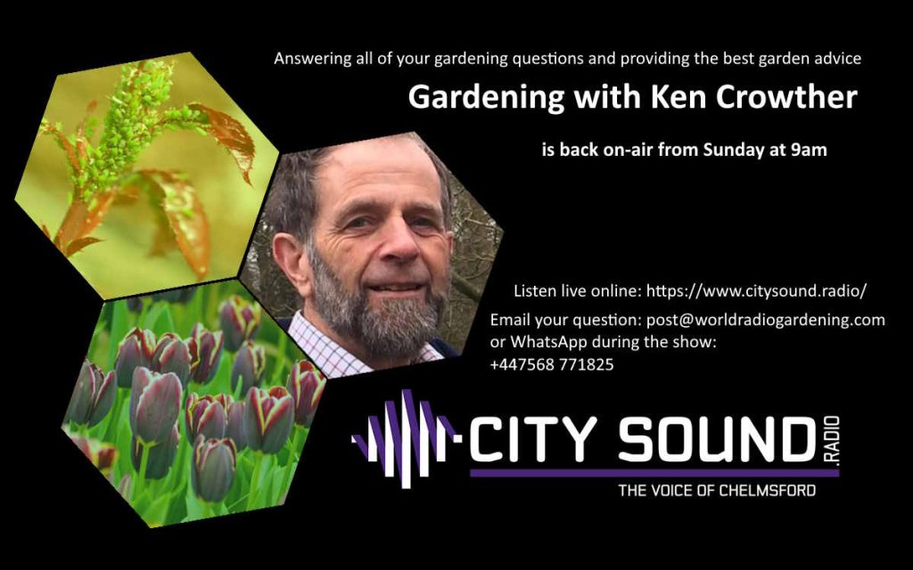 Ken's new live radio phone-in on City Sound Radio.