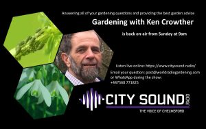 Ken Crowther is back answering gardening questions on City Sound Radio in Chelmsford. Listen live on Sunday 11 February from 9am on https://citysound.radio