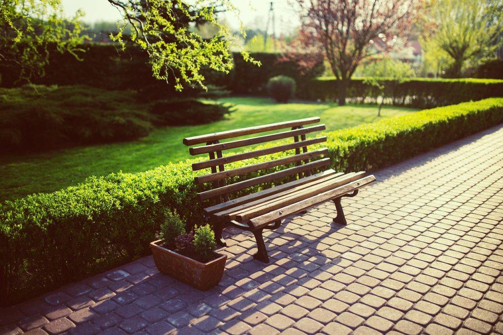 A bench with a box hedge behind.