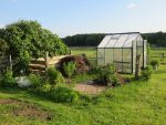 A greenhouse next to a compost heap.