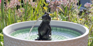 Hydria Life fountain and frog attachment.