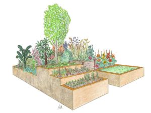 Design drawing for a raised bed garden at BBC Gardeners' World Live.