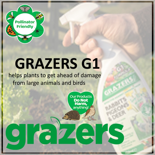 Grazers G1 for rabbits.