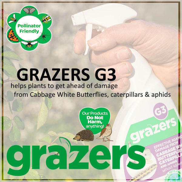 Grazers G3 for cabbage white butterfly.