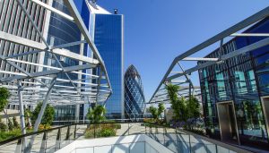 A roof top garden in central London looking out on the Gherkin. 