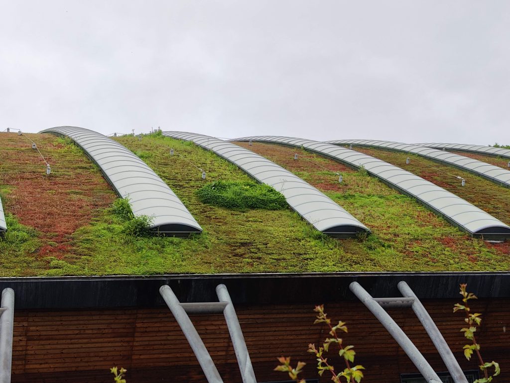 A green roof at Purfleet in Essex on the Royal Opera House's workshop building.