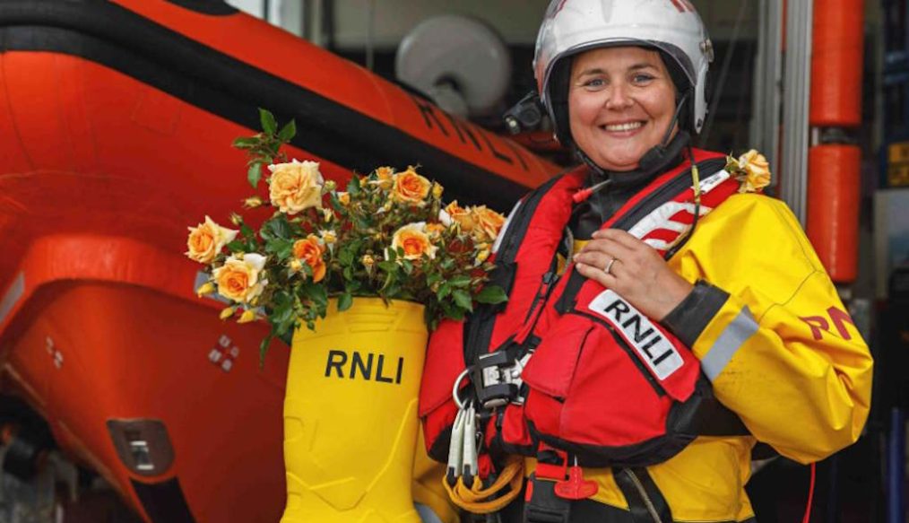 Christmas Advent calendar – Peter Beales Roses