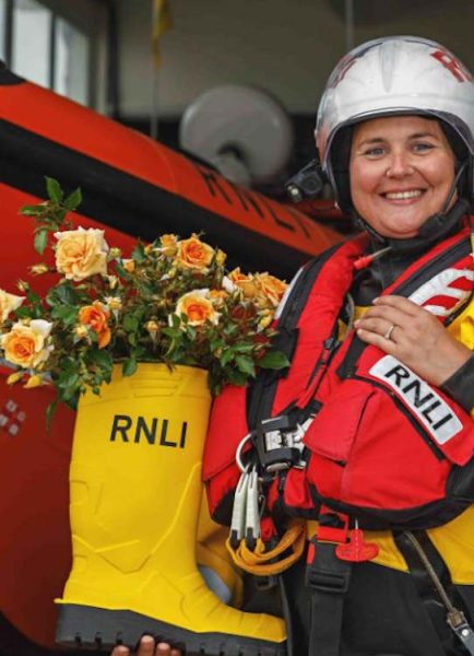 Christmas Advent calendar – Peter Beales Roses