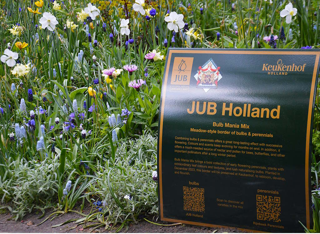 Bulb Mania Mix with a JUB Holland QR code sign next to the flower bed.