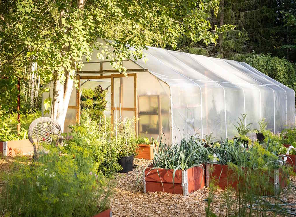 Tunnel in a vegetable gardens.