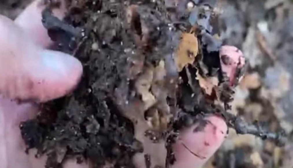 Making use of leaf mould – Create FREE soil