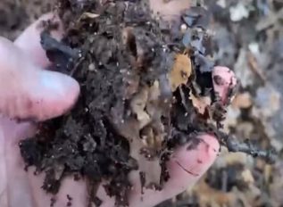 Making use of leaf mould – Create FREE soil