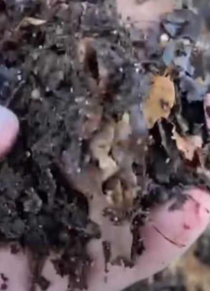 Making use of leaf mould – Create FREE soil