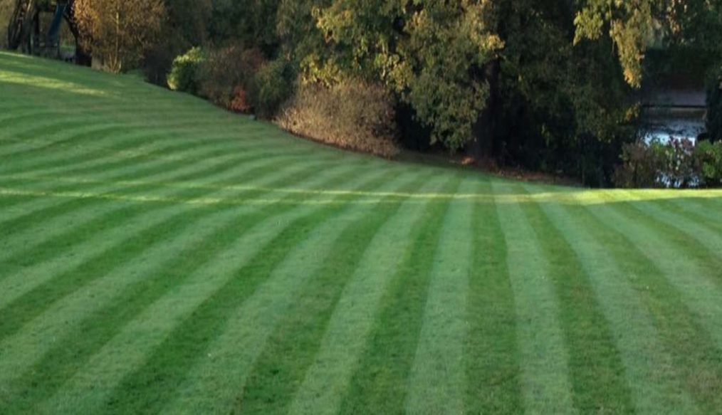 Christmas Advent calendar – KC Gardening