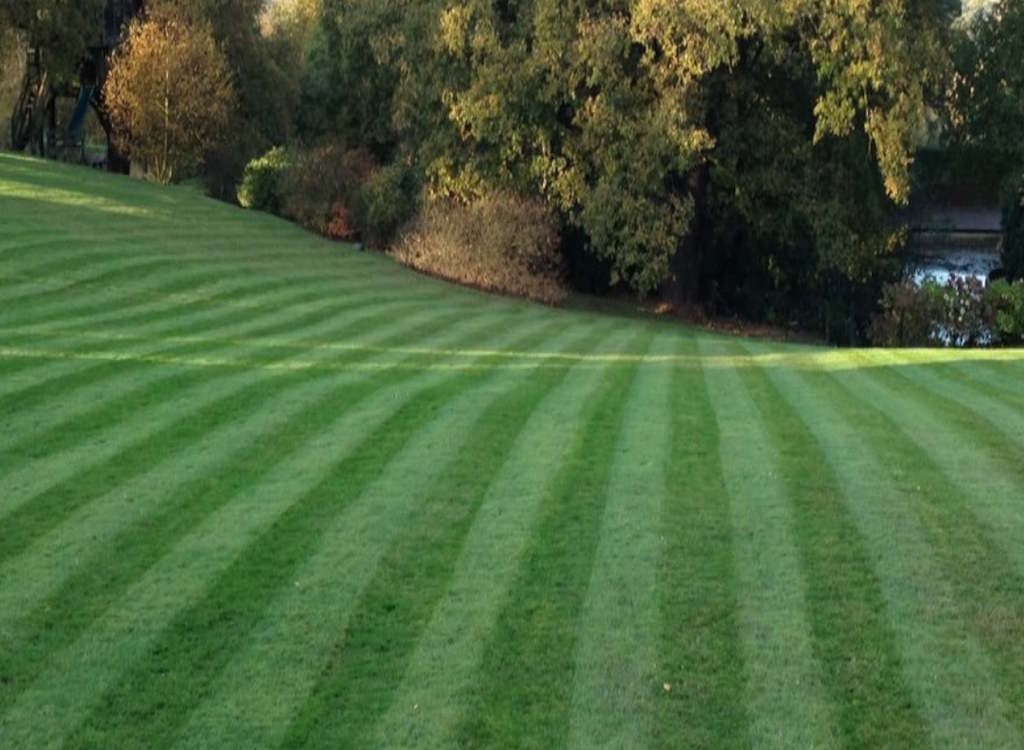 A lawn mowed by KC Gardening.