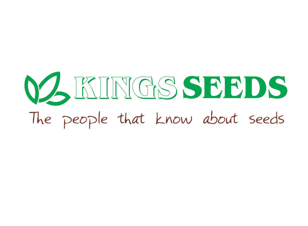 Christmas Advent calendar – Kings Seeds