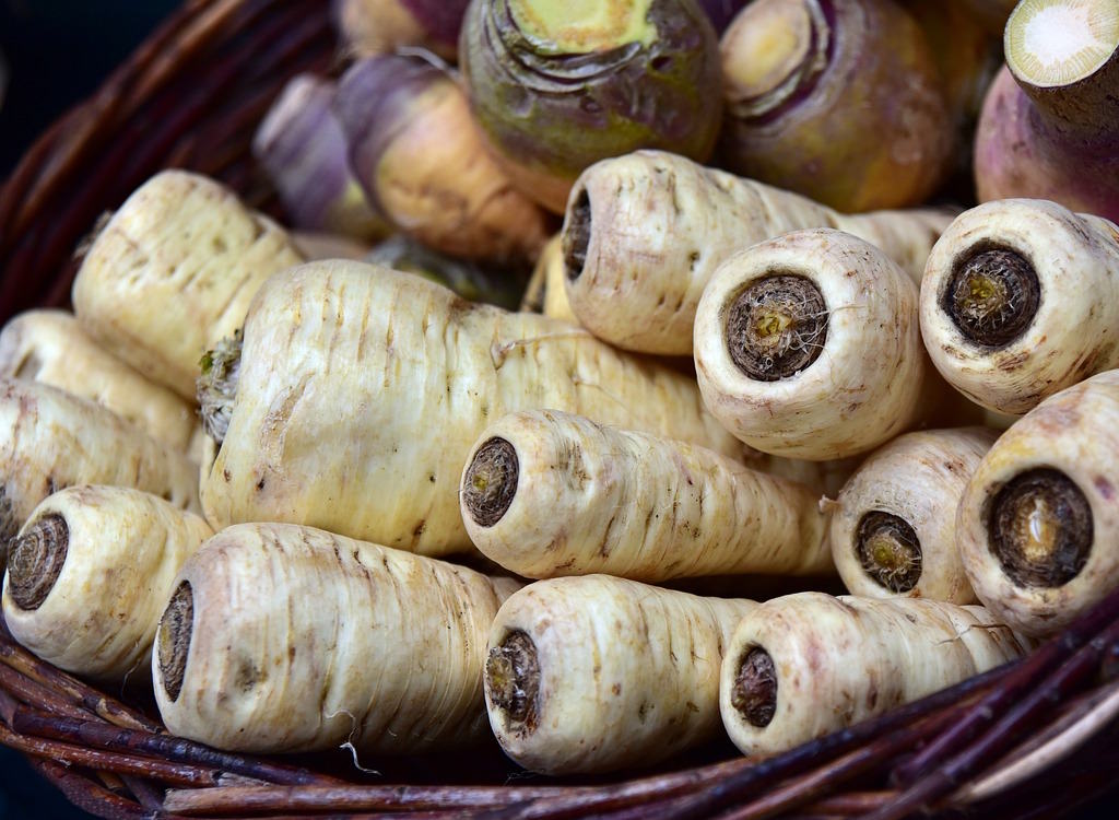 Parsnips in a basket after lifting.