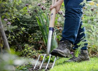 Christmas Advent calendar – The Pedigree range from Bulldog