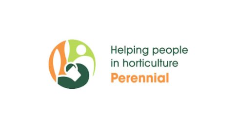 Christmas Advent calendar – Perennial’s Christmas appeal is open for donations