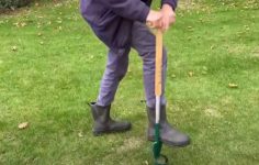 Planting autumn bulbs with hand tools