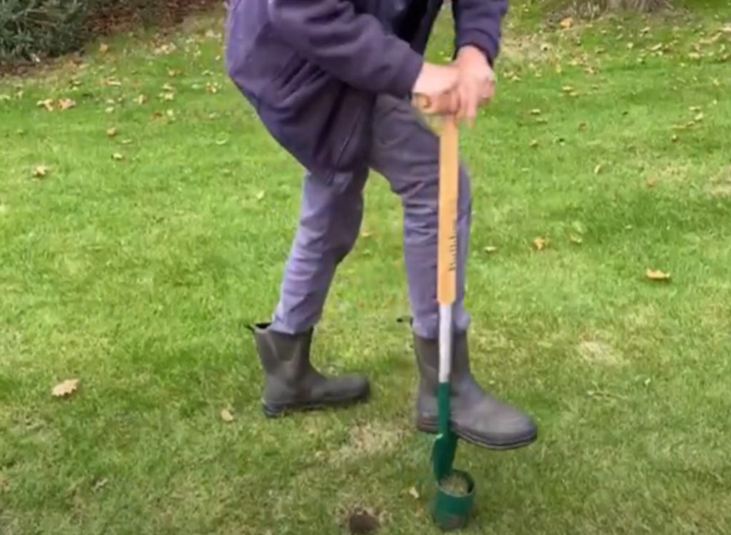 Planting autumn bulbs with hand tools