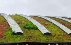Green roof innovation in cities benefits wildlife and increases biodiversity