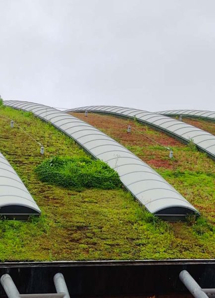 Green roof innovation in cities benefits wildlife and increases biodiversity
