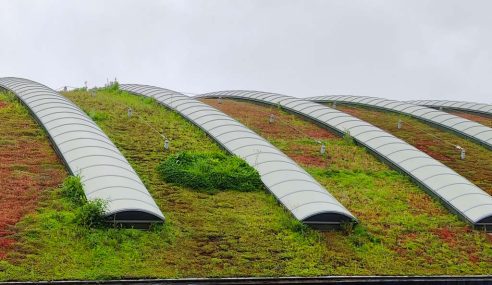 Green roof innovation in cities benefits wildlife and increases biodiversity