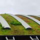 Green roof innovation in cities benefits wildlife and increases biodiversity