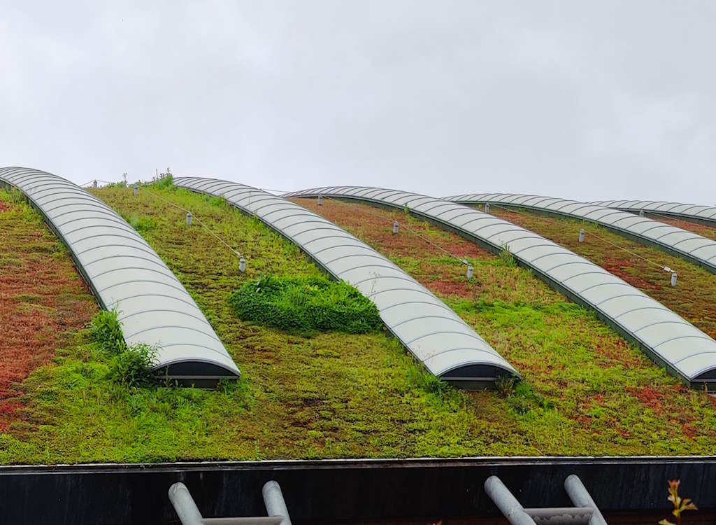 The green roof of the Royal Opera House's workshop in Purfleet, Essex.