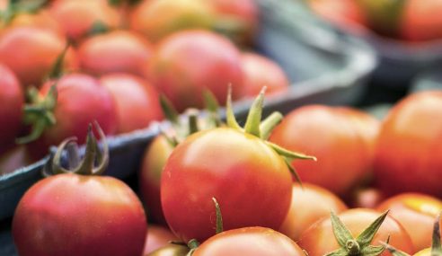 Kidz club: reaping the reward of vegetables sown including tomatoes