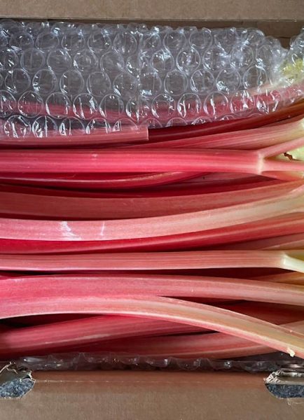 Rhubarb by candlelight