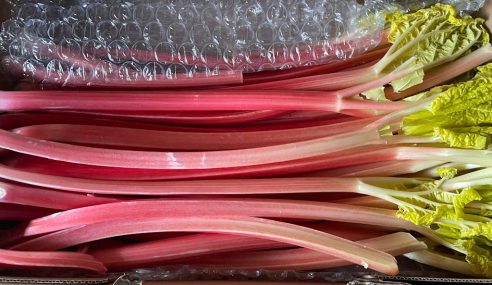 Rhubarb by candlelight