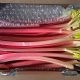 Rhubarb by candlelight
