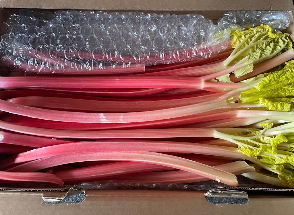 Rhubarb by candlelight