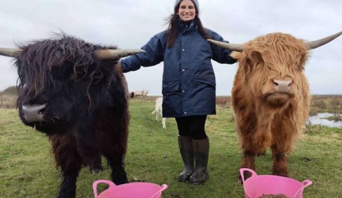 Hairy coos in Essex – Chloe Lucas breaking into cattle farming