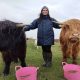 Hairy coos in Essex – Chloe Lucas breaking into cattle farming
