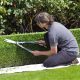 When to cut box hedges