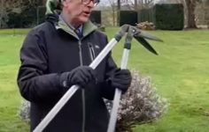 How to use edging shears near a patio