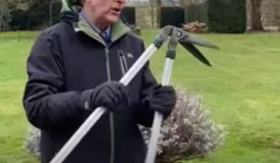 How to use edging shears near a patio