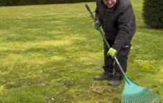 Raking over turf patching to remove stones