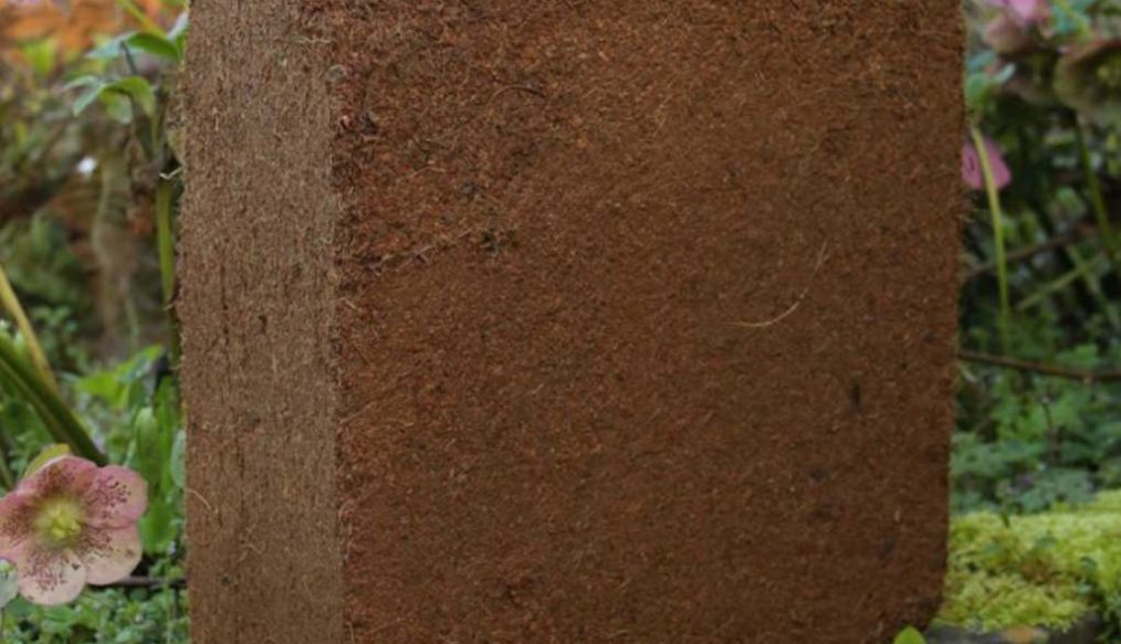 Swap peat for coir in the garden during 2025