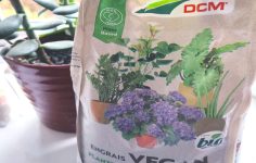 European professional fertiliser to launch in UK
